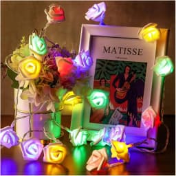 Red Pink Warm Blue RGB Rose Flower LED String Fairy Light Wedding Christmas Party Decoration 5V USB/Battery Power 1.5m 3m 6m 10m
