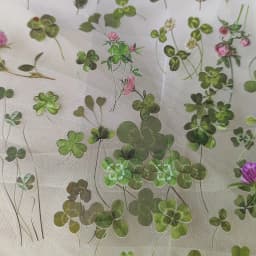 6 pcs/pack PET Plants Flowers Stickers DIY Scrapbooking Planner Decoration Collage Diary Supplies Aesthetics Stationery Sticker