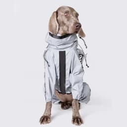 Reflective Pet Dog Jumpsuit Waterproof Raincoat Sunscreen Dog Outdoor Clothes Jacket for Small Medium Large Dog Pet Supplies