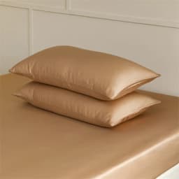 100% Mulberry Silk Pillow Case 2pcs Natural Real Silk Protect Hair Skin Pillowcase Customized Size Bedding Pillow Cases Cover