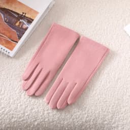 Simple Solid Style Fashion Elegant Women's Winter Suede Gloves Winter Keep Warm Touch Screen Add Velvet Thickened Elasticity Sof