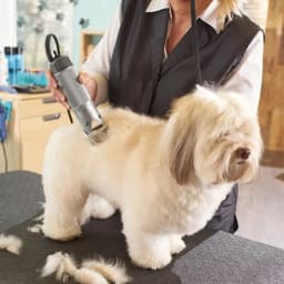 4F,5F,7FC,10#,30#,40# Professional Pet Dog Clipper Blade For Most Andis,Oster A5,Wahl KM 10 Clippers Animals Hair Trimmers