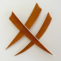 IBOUNFOX 100Pcs Archery Arrow 5 Inch Real Feathers Fletching Right/ Left Wing Shild Cut for DIY Hunting Shooting Shafts