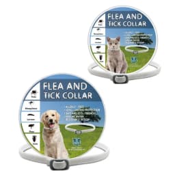 Flea And Tick Collar Adjustable Dogs Cats Necklace 8 Month Protection Anti-mosquitoes Insect Repellent Pet Supplies
