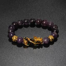 Color Changed Feng Shui Pi Xiu Bracelets Men Nature Stone Lucky Amulet Charm Beaded Bracelets Women Pi Yao Brave Wealth Jewelry