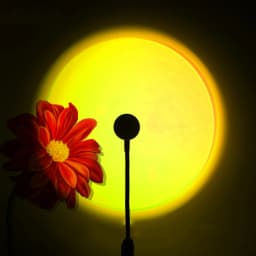 LED Sunset Lamp Nightlights USB Projector Birthday Party Decoration Mood Lights For Bedroom Living Room Wall Photography