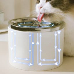 Water Dispenser Cat Automatic Water Dispenser, Pet Ceramic Bowl, Dog Bowl Water Dispenser, Circulation And Flow