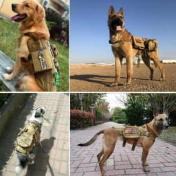 1 Piece Tactical Patch Bundle For Dog Vest Harness Collar Personalized Patches Tags Sticker Label Custom Name ID Service Dog