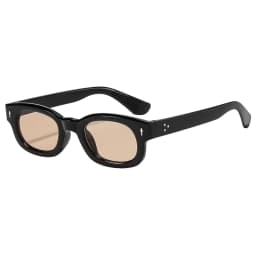 Small Frame Fashion Square Sunglasses for Men and Women