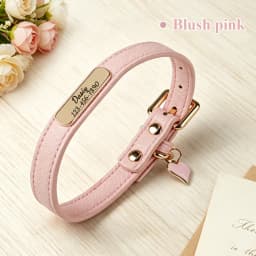Luxury & Soft Leather Personalized Dog Collar and Pendant Pet Puppy Cat ID Nameplate Engraved for Small Medium Dogs