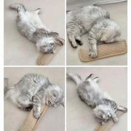 3-Piece Cat Play Set, Durable Cat Mint Bamboo Cat Scratching Post, Indoor Cat Toothbrushing and Chewing Stick