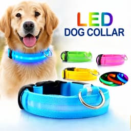 3 Modes Dog Luminous Charge Collar Led Usb Cat Dogs Collars Detachable Night Led Glow Dog Loss Prevention Collar Pet Accessories