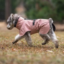 Pet Dog Waterproof Raincoat Outdoor Small Medium Size Dog Universal Teddy Bichon Puppy Clothes Pet Apparel Casual Raincoat