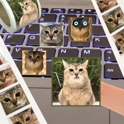 500Pcs Meimei Meme Cat Face Roll Stickers, Cute Realistic Kitten Expression Self-adhesive Labels for Journal Packaging DIY Decor