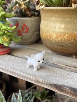 original mini dog cat rabbit accessories on sale licca pet Original dolls collection drop shipping cangku