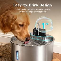 ZYfeeder 7L Large Capacity Charging Induction Cat Water Dispenser, Wireless Induction, Suitable for Indoor Placement at Will