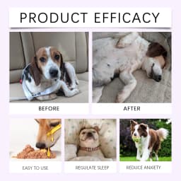 YEGBONG 60ml Dog Sleep Support Drops with Herbal Nighttime Formula Vet Recommended Calming Care for Canine Anxiety Nighttime