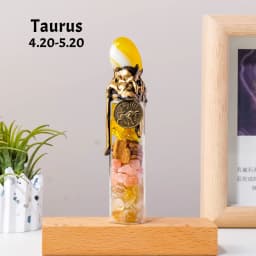 1PC Natural Crystal Zodiac Wishing Bottle, Magic Energy Healing Stone Drifting Bottle with Raw Stones, Spiritual Divination Reik