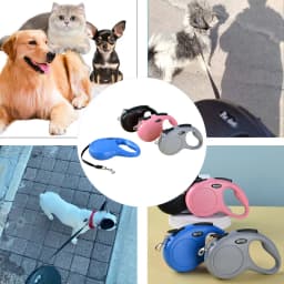 Pet Dog Leash for Small Medium Dogs Cats Walking Automatic Retractable Extending Puppy Solid Roulette Chihuahua Bulldog Supplies