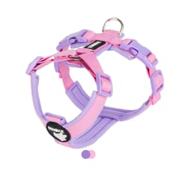Dog Harness for Small Medium Large Dogs No Pull Breathable Adjustable Pet Chest Strap Outdoor Dog Supplies Puppy Vest Harness