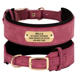 Personalized Leather Dog Collar Soft Wide Padded Collars For Medium Large Dogs With Free Engraved Nameplate Dog Accessories