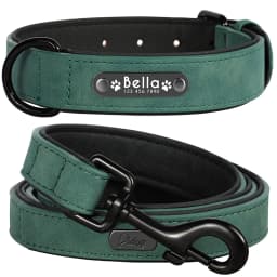 Personalized Dog Collar Leash Set Custom Leather Dog ID Collar Leash Lead For Small Medium Large Dogs Pitbull Bulldog Pugs