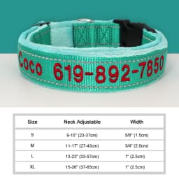 Personalized Embroidered Dog Collar Reflective Nylon Custom ID Name Accessories Pet Padded Collars For Small Medium Large Dogs