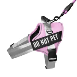 Nylon Reflective Dog Harness Personalized Breathable Dog Harness With ID Name Tag Pet Harness for Small Medium Large Dogs