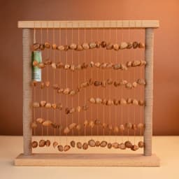 Fruit Shell Rattle Relaxing Sound Bundle Fruit Wind Chime Meditation Row Bell Sound Therapy Musical Instruments Percussion