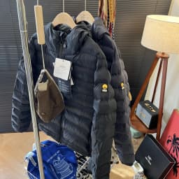Lightweight Warm Windproof Cold-resistant Capsule Traveler Unisex Outdoor Press-Gore Hooded Cotton Jacket Cotton Coat Outerwear
