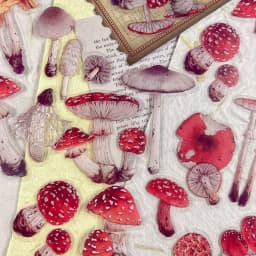 40 sheets Autumn Leaf Mushroom Theme Stickers pack Journal Diy Scrapbooking Supplies Diary Album Aesthetic Stationery Sticker