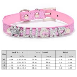 Custom Cat Dog Collar Personalized Rhinestone Puppy Collars Adjustable Letter Crown Charm Name Dog Necklace Chihuahua Id Collar