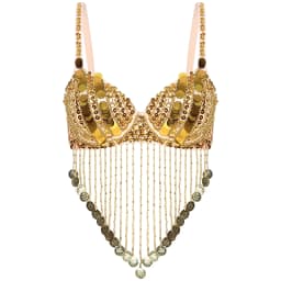 Womens Tassels Belly Dance Costume Shiny Beaded Underwired Bra Sequins Music Festival Party Tops Rave Party Halloween Costumes