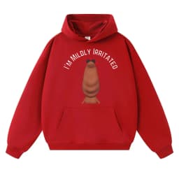 Funny I'm Mildly Irritated Marcus The Worm Meme Hoodie Humor Men Women Hoody Sweatshirt Autumn Winter Oversized Casual Pullover