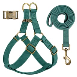 Custom PU Leather Harness And Leash Engraved Dog ID Buckle Harnesses Vest Pet Leading Rope Durable For Small Medium Dogs Bulldog