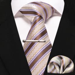 JEMYGINS Business Tie for Men Silk Navy Blue Tie Striped Paisley Necktie Handkerchief Tie Clips Set for Wedding Party Gift
