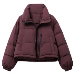 2025 New Winter Korean Loose Short Stand-up Collar Cotton Padded Jacket Women Thicken Warm Elegant Parkas Female Outwear