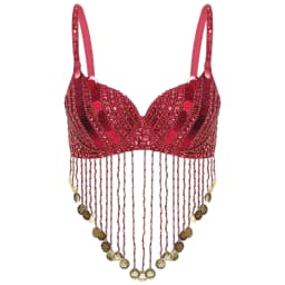 Womens Tassels Belly Dance Costume Shiny Beaded Underwired Bra Sequins Music Festival Party Tops Rave Party Halloween Costumes