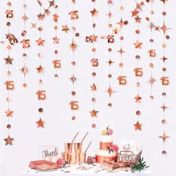 13Ft Rose Gold 14th 13th Birthday Party Decorations 18th Circle Dot Star Garlands Hanging Streamers for Sweet 16 Girls Supplies