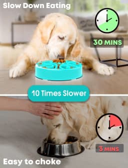 Pet Dog Slow Feeder Bowl Fun Non Slip Anti-Gulping Slower Food Feeding Dishes Eco Dog Bowl for Large Medium Small Dogs Puppy