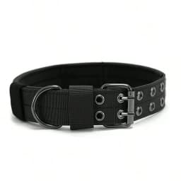 Tactical Dog Collar 1pc Durable Nylon Military Collars Outdoor For Medium Large Dogs Training Walking Working Pet Products