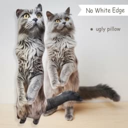 IHX Ugly Cat Dog Zany Pillow,Custom Pet 3D Pillow,Personalized Pet Pillow From Photo,Pet Loss Memorial Gift,Stuffed Toys Dolls