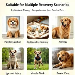 Red Light Led Therapy Physiotherapy Equipment for Pet Dog Pain Relief Pain Reduce Veterinary Use