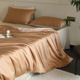 2pcs 100% Mulberry Silk Pillowcase for Hair and Skin Health 23 Momme Natual Pure Silk Pillow Cases with OEKO-TEX Customized Size
