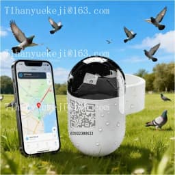 for Real time GPS locator for pigeons and parrots, outdoor flight locator, leg strap and ring pigeon positioning waterproof