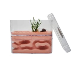 Highly Moisturizing Ant Farm Plaster Ant Nest Insect Box with Workshop Pet Anthill Castle Natural Ecological Ant House 12*6*10cm