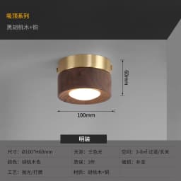 corridor lamp Walnut ceiling lamp ash wood led lights for room living room Spotlights Porch light home decor lighting Fixtures