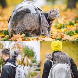 Cat Pet Carrier Backpack - Transparent Capsule Bubble Design, Breathable for Small Animals (Puppy/Kitty/Bird), Ideal for Travel