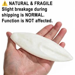 Natural Cuttlebone Chew Toy 1pc for Parrots Budgies Hamsters Small Pets Teeth Grinding Calcium Supplement Bird Supplies Healthy