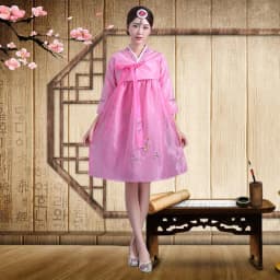 Embroidered Short Korean Traditional Costume Women's Dance Performance Clothes  Ethnic Group Large Long Jin Outfits